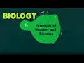 Pyramids Of Number Biomass BBC Bitesize KS3 Biology