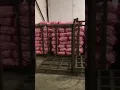 Download Lagu Gudang Bawang Putih DISTRIBUTOR PASAR INDUK (BERKAT MAKMUR)