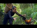 Download Lagu The female secretary traps wild chickens and catches stream fish to make a chicken coop
