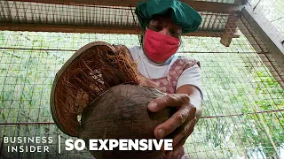 Download Why Coconut Oil Is So Expensive | So Expensive | Business Insider MP3