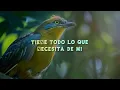 Tan Bionica - Ella (Lyrics/Letra)