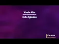Julio Iglesias - Vuela Alto (Karaoke)