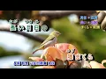 雨の慕情 八代亜紀 字義版