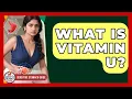 Download Lagu What Is Vitamin U? - Sensitive Stomach Guide