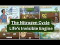 The Nitrogen Cycle Life s Invisible Engine Nitrogen Cycle