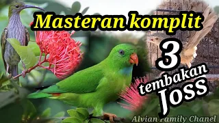 masteran kompilasi tembakan burung kecil joss terbaru 