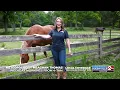 Good Morning Nashville Meaghan Thomas