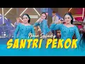 Download Lagu Niken Salindry - SANTRI PEKOK (Official Music Video ANEKA SAFARI)