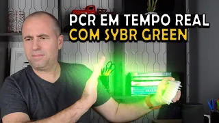 Fundamentos da PCR em Tempo Real (qPCR) com intercalante de DNA SYBR Green