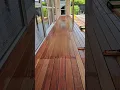 Deck Staining Mistake - Learn From My Regret