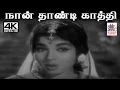 Download Lagu Naan Thandi Kathi M.S.விஸ்வநாதன் இசையில்  P.சுசிலா L.R.ஈஸ்வரி பாடிய பாடல்நான் தாண்டி காத்தி