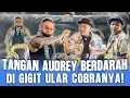 Lagu ULAR COBRA NYA  AUDREY NGERI-NGERI