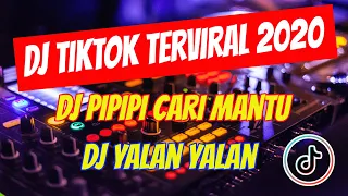 Download DOUBLE TRACK DJ PIPIPI CARI MANTU DJ YALAN YALAN TIKTOK MANIA MP3