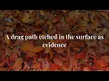 twenty one pilots - Drag Path (Lyrics)
