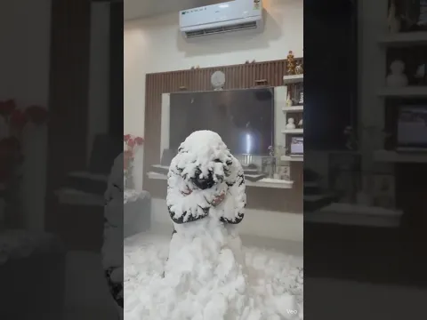 Chor vs ac🤣👊🏻