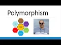 Java Polymorphism Spring 2024