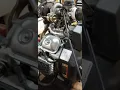 670 turbo predator walkthrough and info 34hp