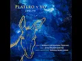 Platero y Yo, Op. 190: XVIII. La arrulladora