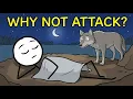 Why Do Predators Ignore Sleeping Humans