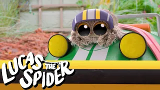 Lucas the Spider Finds a Snake in The Backyard | Kids Cartoon