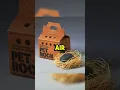 Download Lagu The Man Who Became A Millionaire Selling Pet Rocks #shorts #history