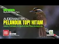 Lagu MASTERAN  AUDIO SUARA KICAUAN BURUNG PLANDUK TOPI HITAM GACOR, FULL ISIAN || 100% AMPUH BUAT PIKAT