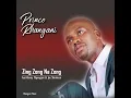 Zing Zong Na Zeng (feat. Benny mayenganI & Dr Joe Shirimani)