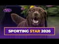 Cota The Chesapeake Bay Retriever Wins the Sporting Group Westminster Kennel Club 2026