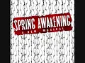 Spring Awakening Demo - 13. Don't Do Sadness/Blue Wind