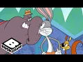 Download Lagu New Looney Tunes | Bugs Bunny Compilation | Boomerang