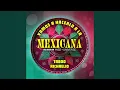 Mexicana As Seen on Miss Universe