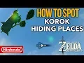 How to Spot and Find ALL Korok Hiding Places in Zelda Breath of the Wild