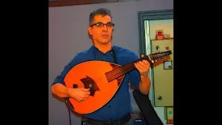 المبدع عازف العود توفيق غدير 