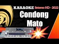 Lagu Karaoke Minang Dendang || Condong mato - Alfina Braner (versi terbaru 2022 KN7000)
