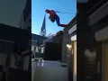 Spiderman playing accordion HD