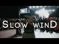 JAMES WATSS - SLOW WIND | DANCEHALL WORKSHOP | ANDREY BOYKO \u0026 FRAULES