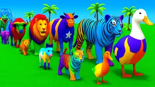 Long Slide Game With Cow Elephant Gorilla Hippopotamus Tiger - 3d Animal Game - Funny 3d Animals