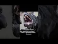 A CANE CORSO HAS A BITE FORCE EQUAL TO A LION CAN KILL A HUMAN IN SECONDS