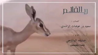 ريم الفلا            حصريآ    اداء   خليفه الوشاحي دندنها
