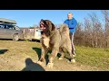 He is just 11 months old