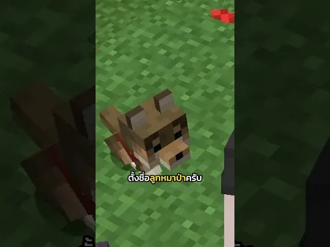 ตั้งชื่อลูกหมาป่าตามคำขอ #minecraft #merrust #พี่หมื่นรัก