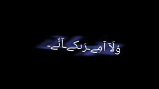 حالات واتس اب شاشه سوداء  احمد عبدو  عود الريحان برج الميزان             دندنها