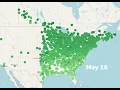The 2025 Ruby-throated Hummingbird migration in 30 seconds