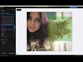 Train a Custom YOLO-v4 Object Detection Model in RunwayML