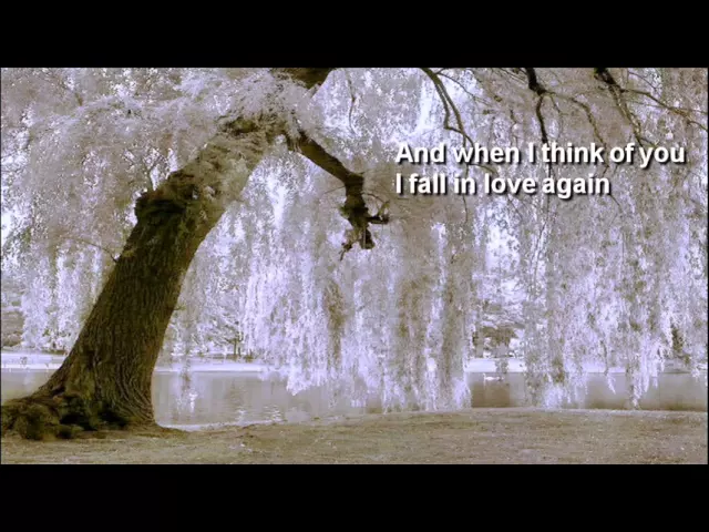 A Love So Beautiful + Michael Bolton + Lyrics/HQ