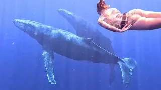 SUPRISE! We got MARRIED in Moorea + Swimming with WHALES!