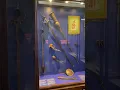 Download Lagu Chatrapati Shivaji maharaj sword ⚔️ in mumbai museum #sivaji #shorts ￼