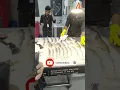 Download Lagu Exploring Freshness: #Live Fish on I#ce at #Shwapno Super Shop #fishing    #superstar  #subscribe