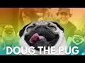 How Our Dog Got 18 Million Followers