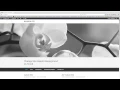 Change Site Header CSS On Scroll